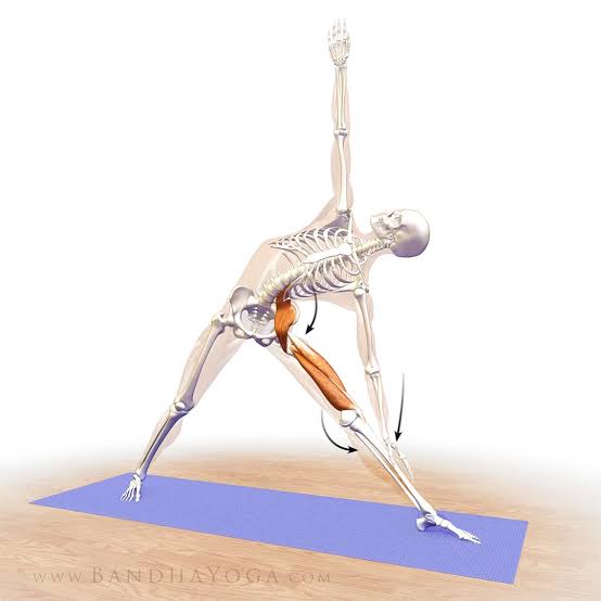 iyengar-trikonasana-yoga-shiraz
